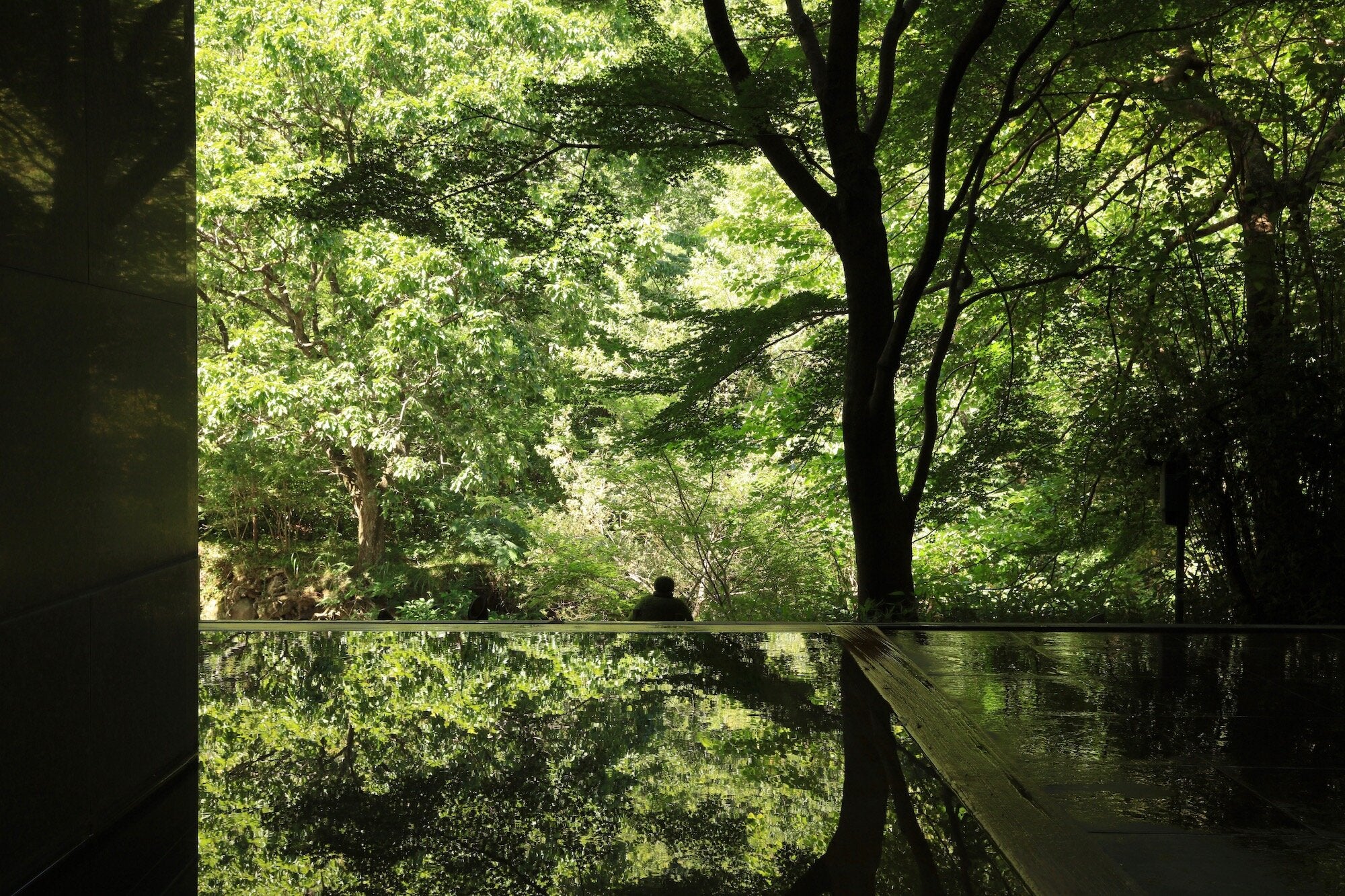 ONSEN OASIS